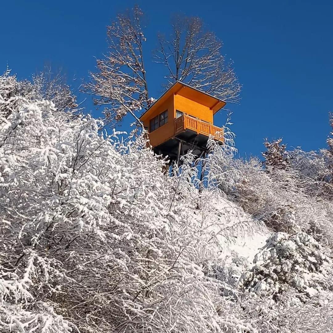Appartamento Mosia Dar In Rai Berbesti Esterno foto